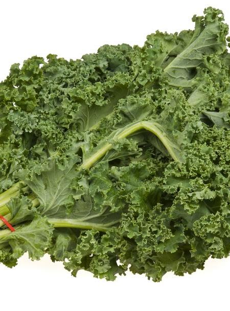 Freshly Harvested Kale Cabbage